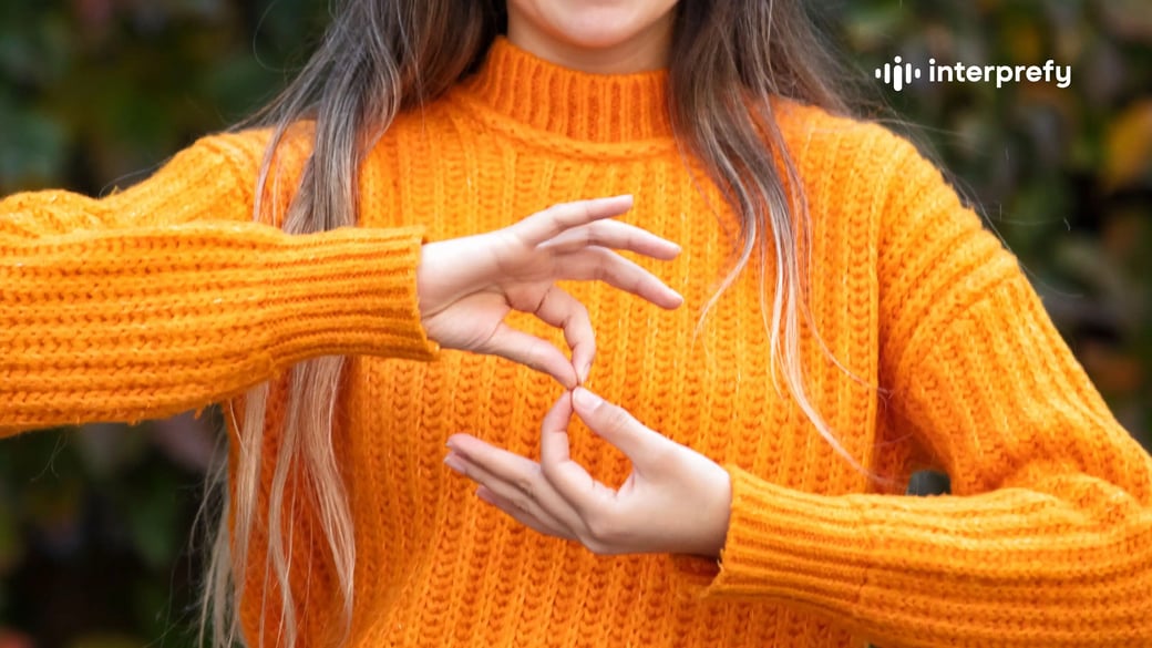 European Accessibility Act - Sign Language Interpreter